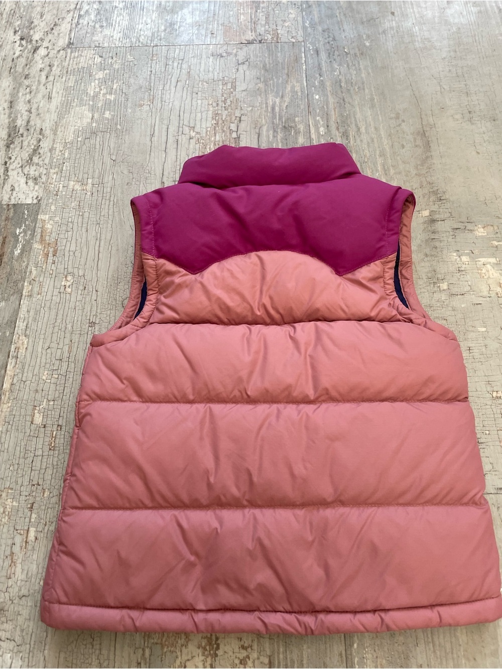 Patagonia Girl’s 3T Waterfowl Feather Down Filled Vest - Picture 2 of 7